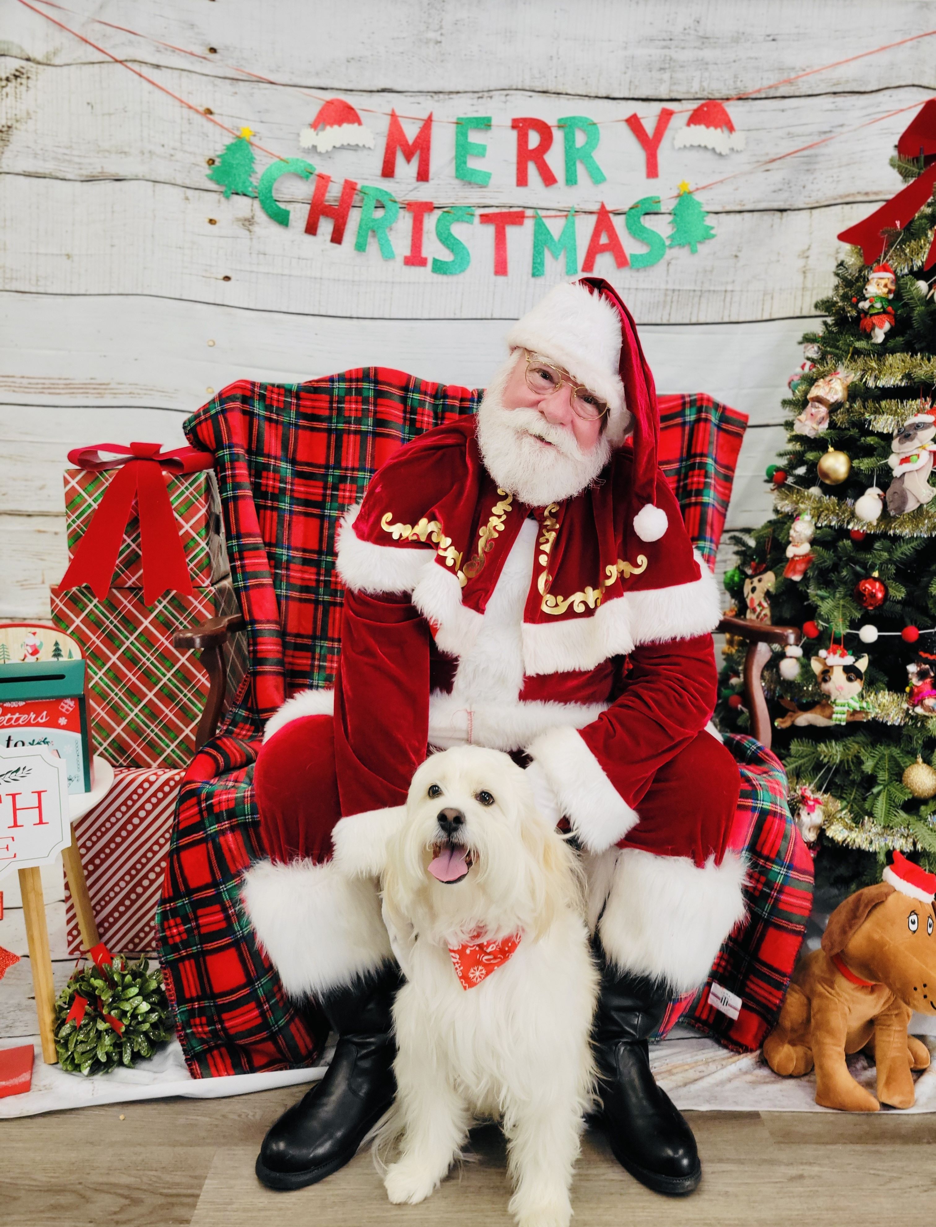 Photos with Santa 2024