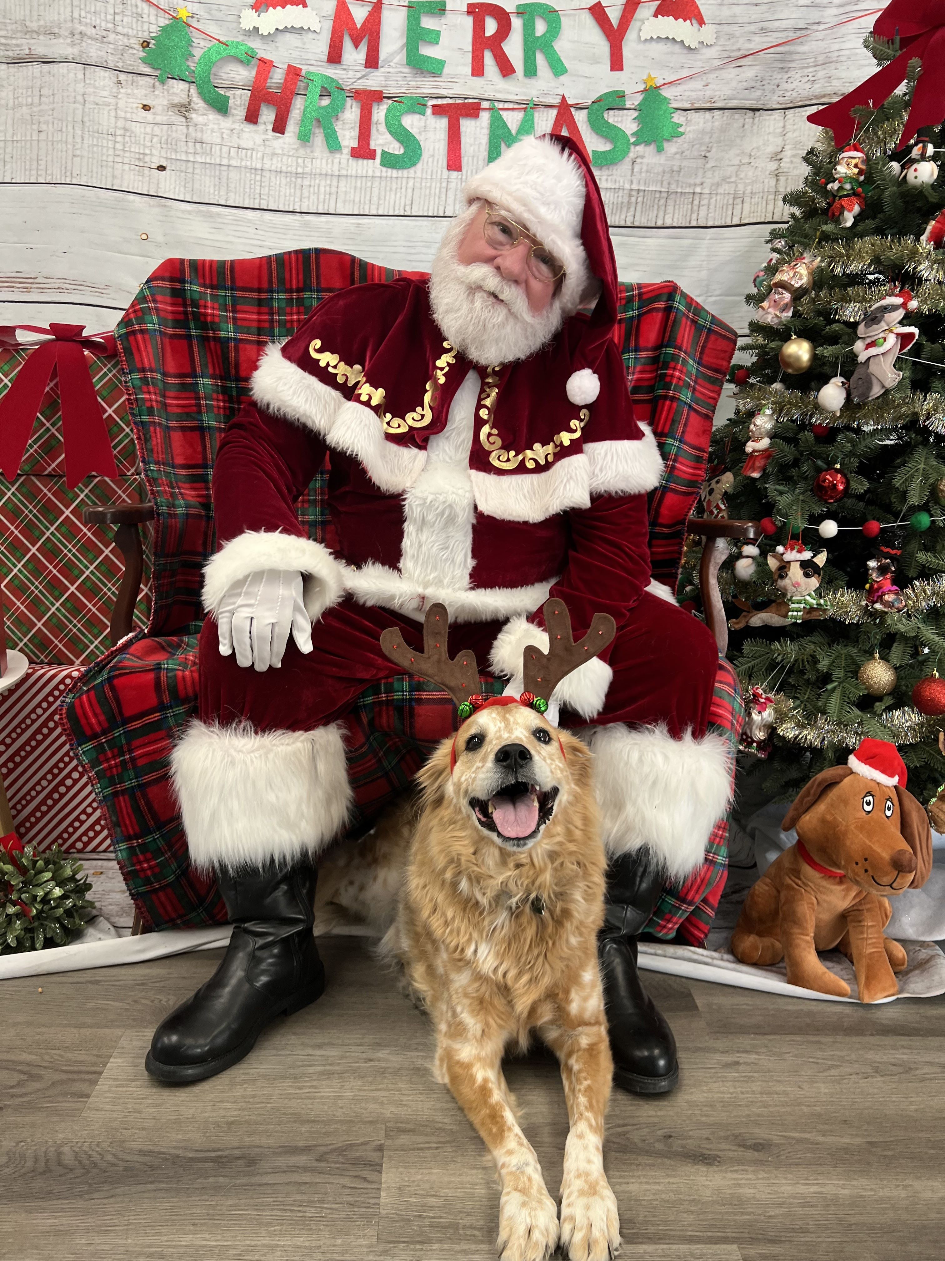 Photos with Santa 2024