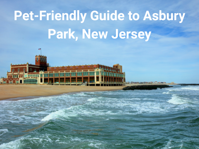Photo of Asbury Park boardwalk and beach