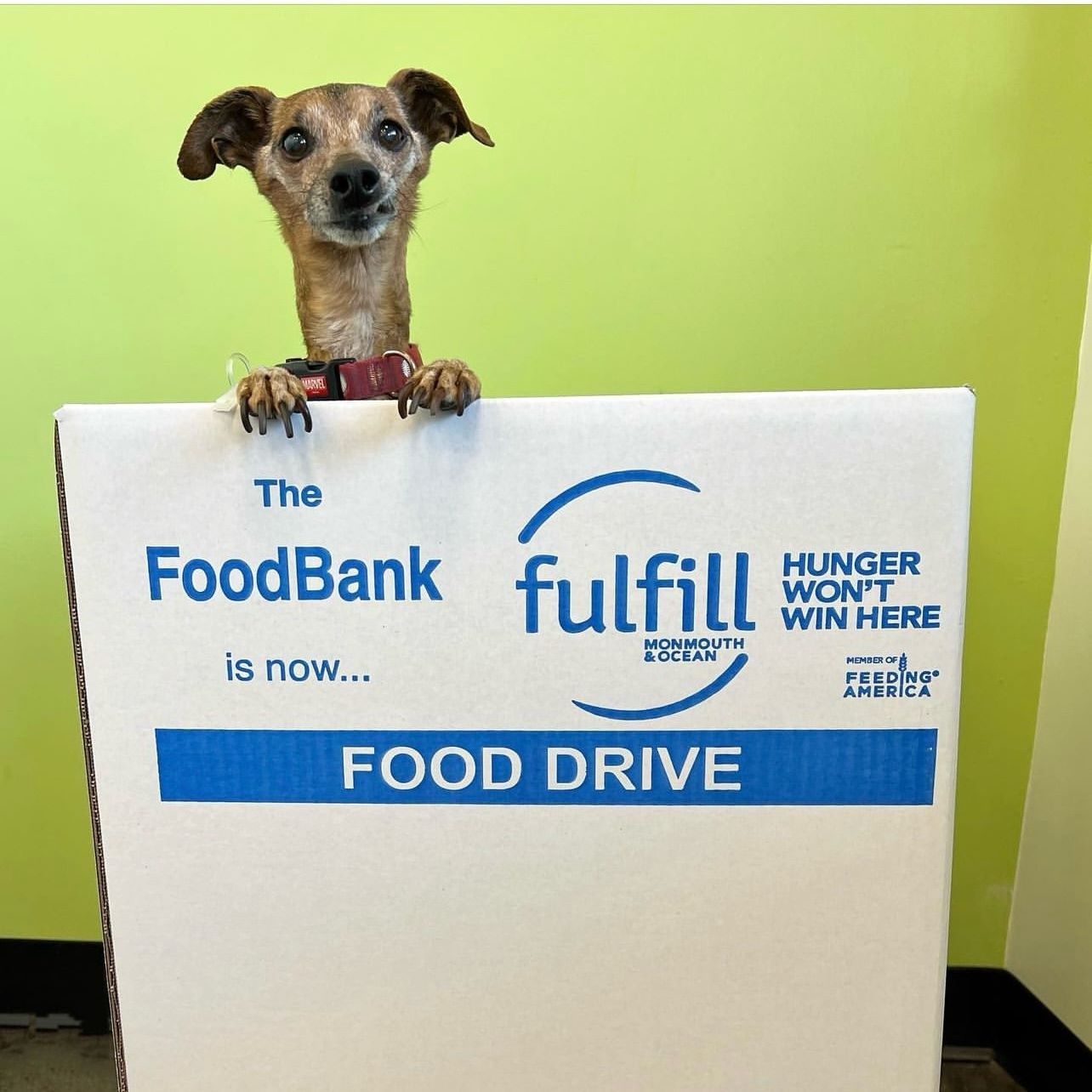 Food and Fund Drive - 2023