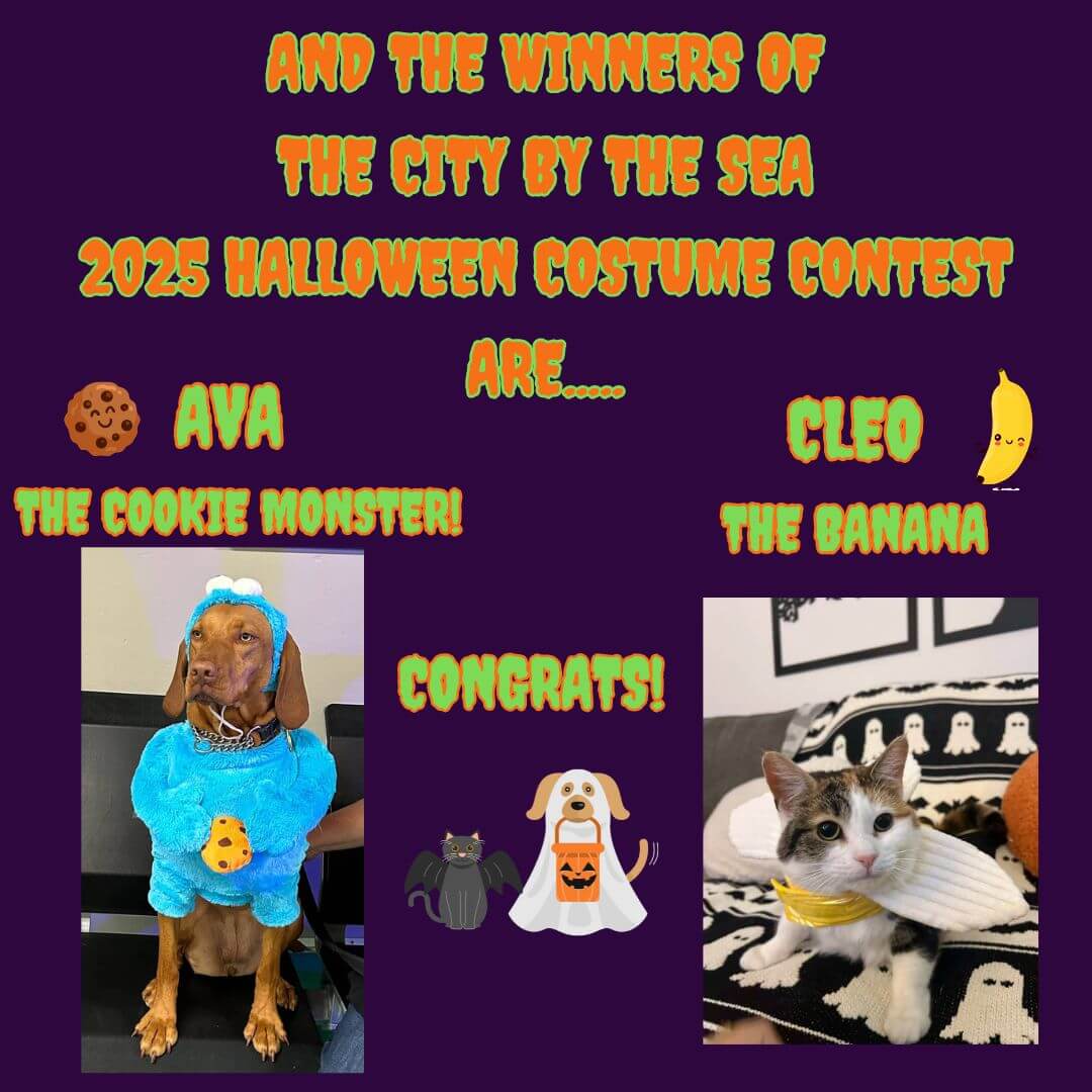 Halloween costume contest winners