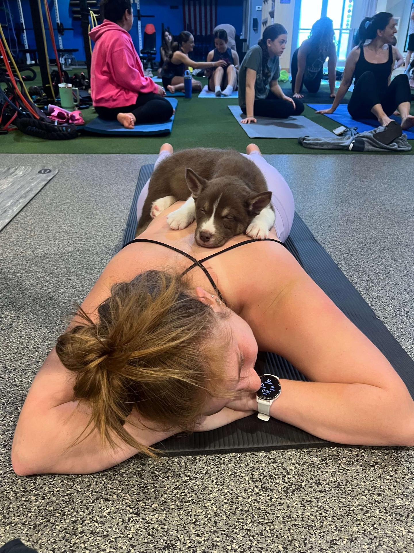 Puppy Yoga
