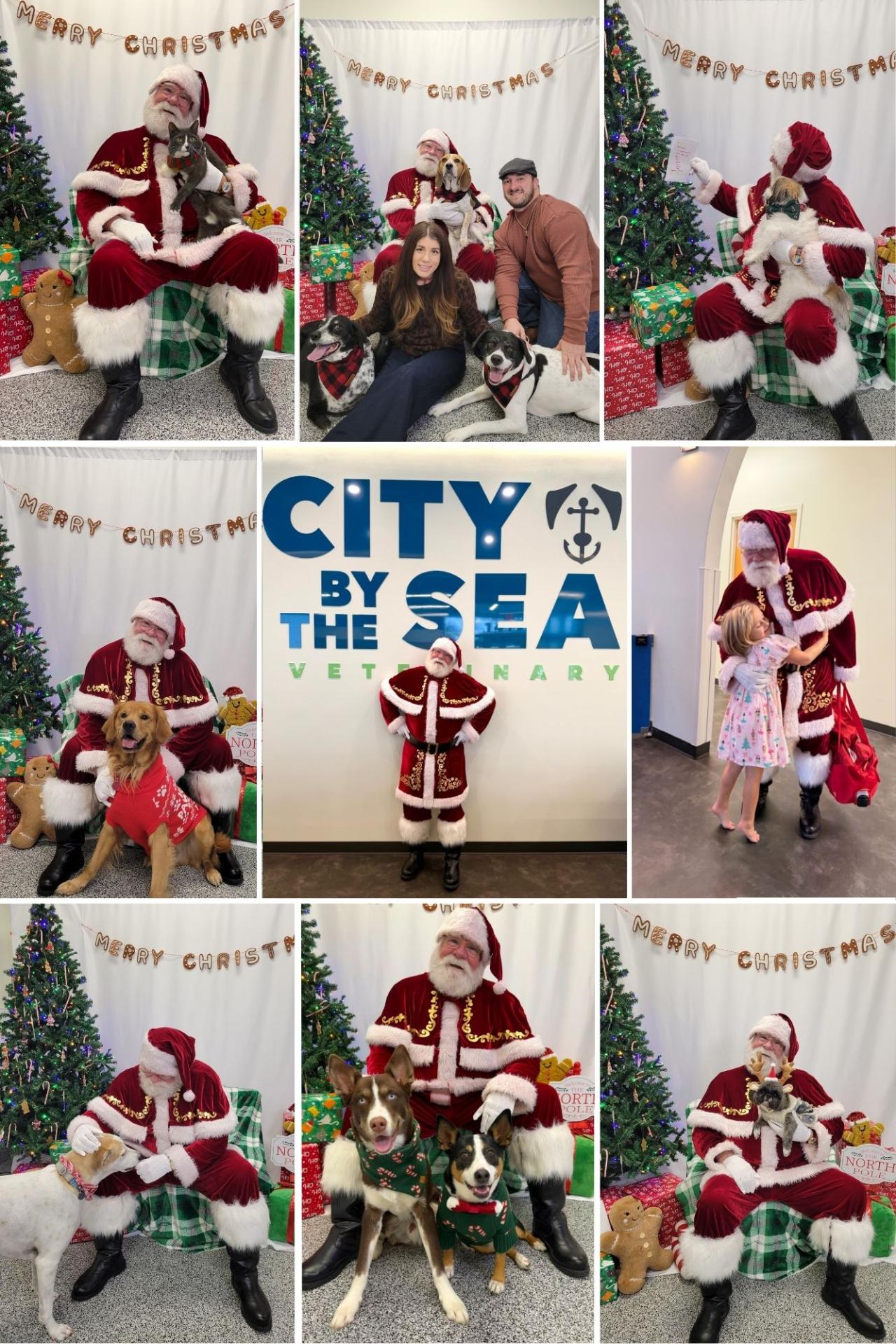 Santa stopped by and visited all of the good boys and girls at City By The Sea Veterinary Hospital in Asbury Park NJ