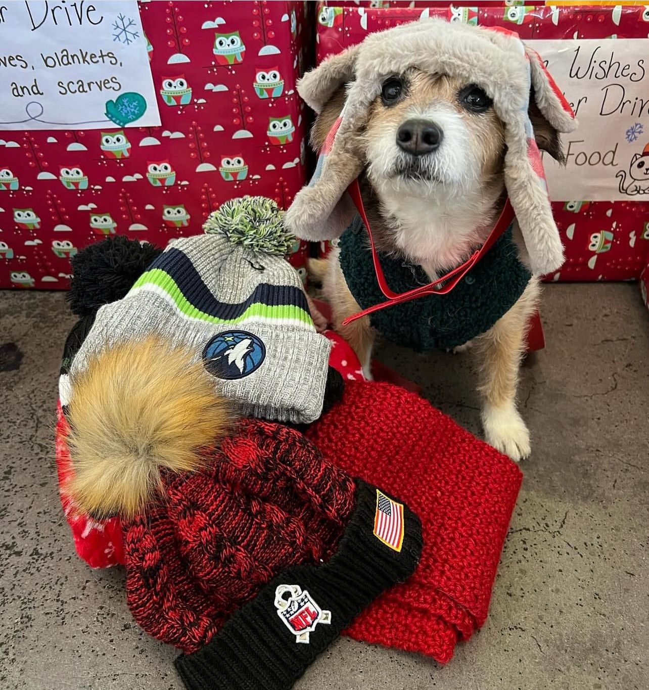 Warm Winter Wishes Coat and Pet Food Drive