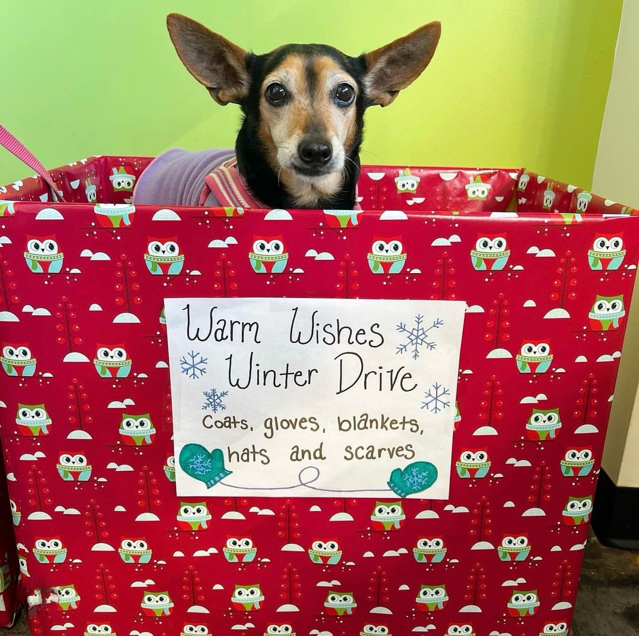 Warm Winter Wishes Coat and Pet Food Drive