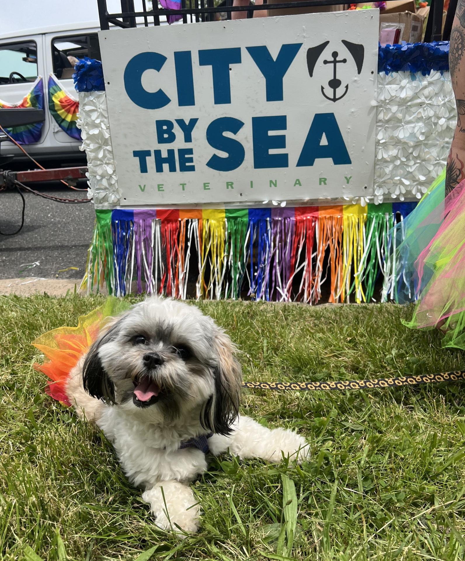 Smiling dog next to Catsbury Park Pride Float