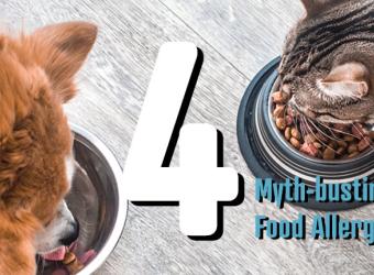 Four Myth-Busting Facts About Cutaneous Adverse Food Reactions (Food Allergies) In Dogs And Cats